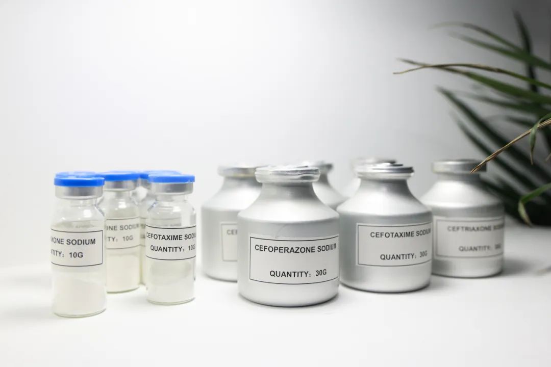 1xBET��Signup(�й���)-�ٷ���վ